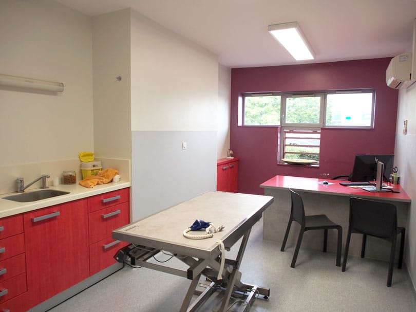 Salle de consultation N°1 de la clinique vétérinaire des Près à Issoire