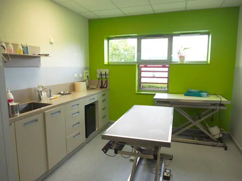 Salle de consultation N°3 de la clinique vétérinaire des Près à Issoire
