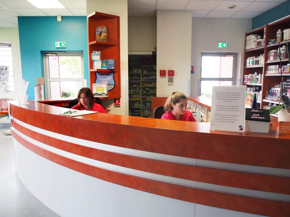 Accueil de la clinique des Prés à Issoire