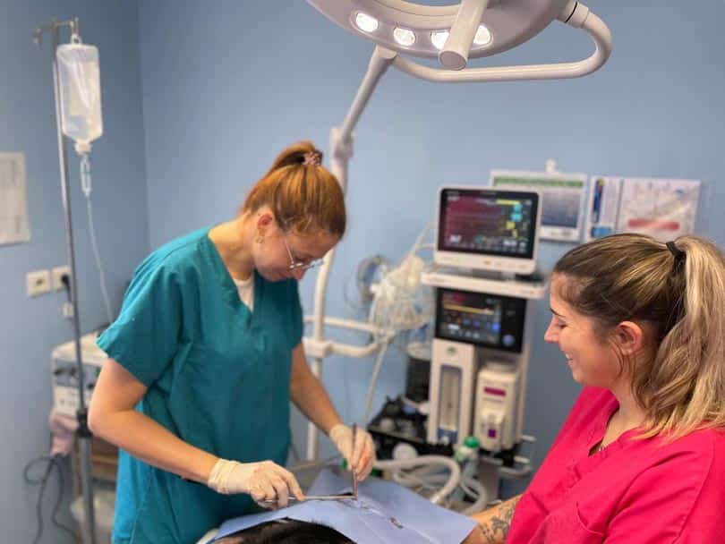 Dr Masson opère un animal, assistée par Elodie