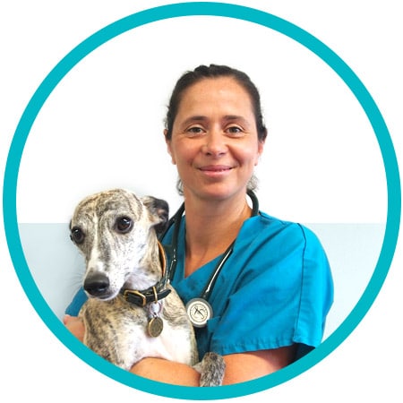 Photo du Dr Sophie Paniagua, Vétérinaire Associée de la Clinique Vétérinaires des Près à Issoire