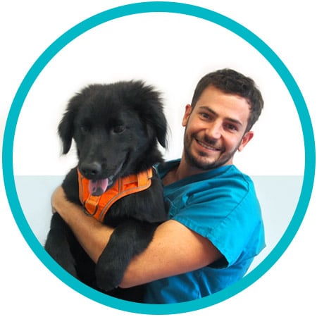 Photo du Dr Théo Pinheiro, Vétérinaire de la Clinique Vétérinaires des Près à Issoire