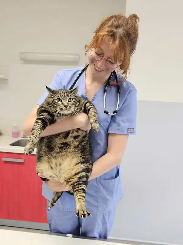 Dr Masson avec un chat en consultation