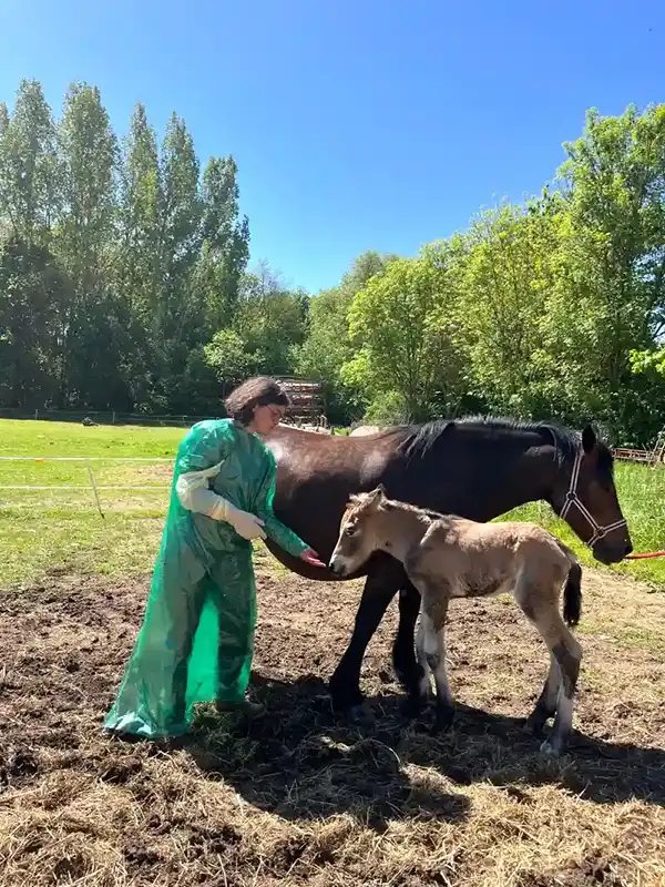 Dr Grall en visite extérieure